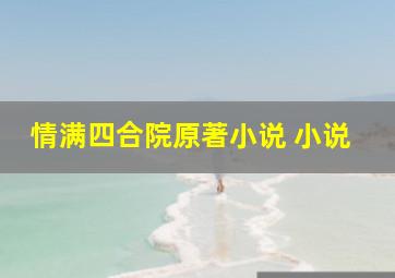 情满四合院原著小说 小说